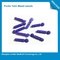 Surgical Disposable Blood Lancets For Blood Glucose Testing Plastic Material